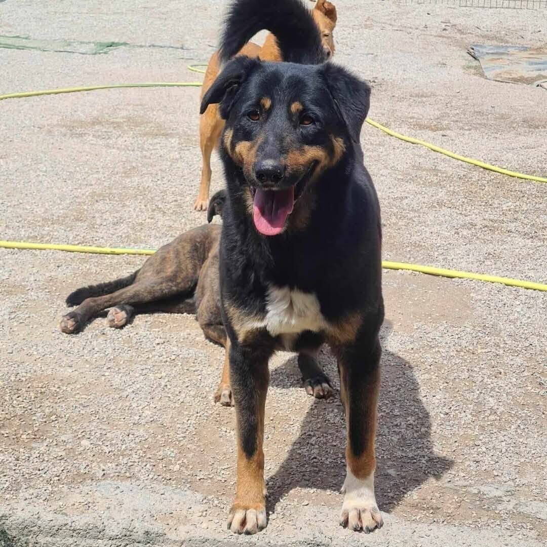 Ruby