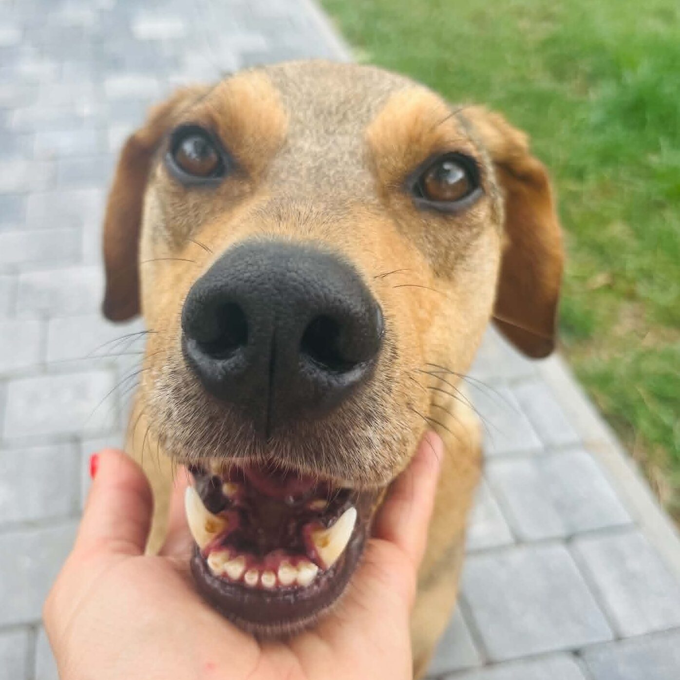 your caption here