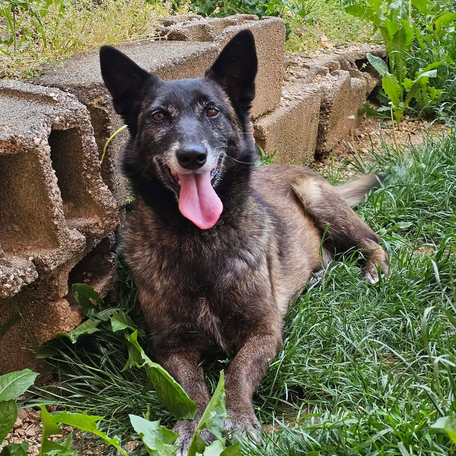 Kira