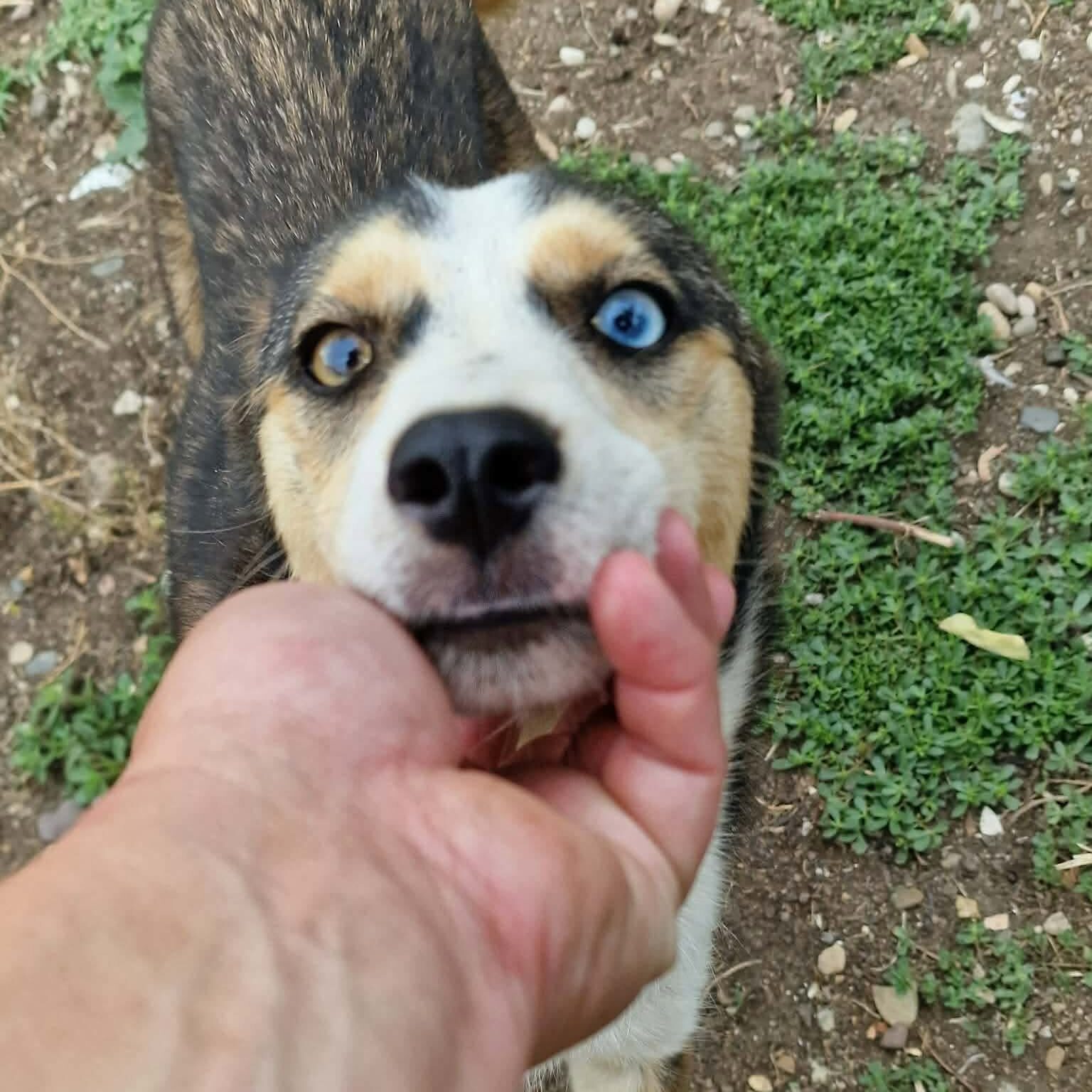 your caption here