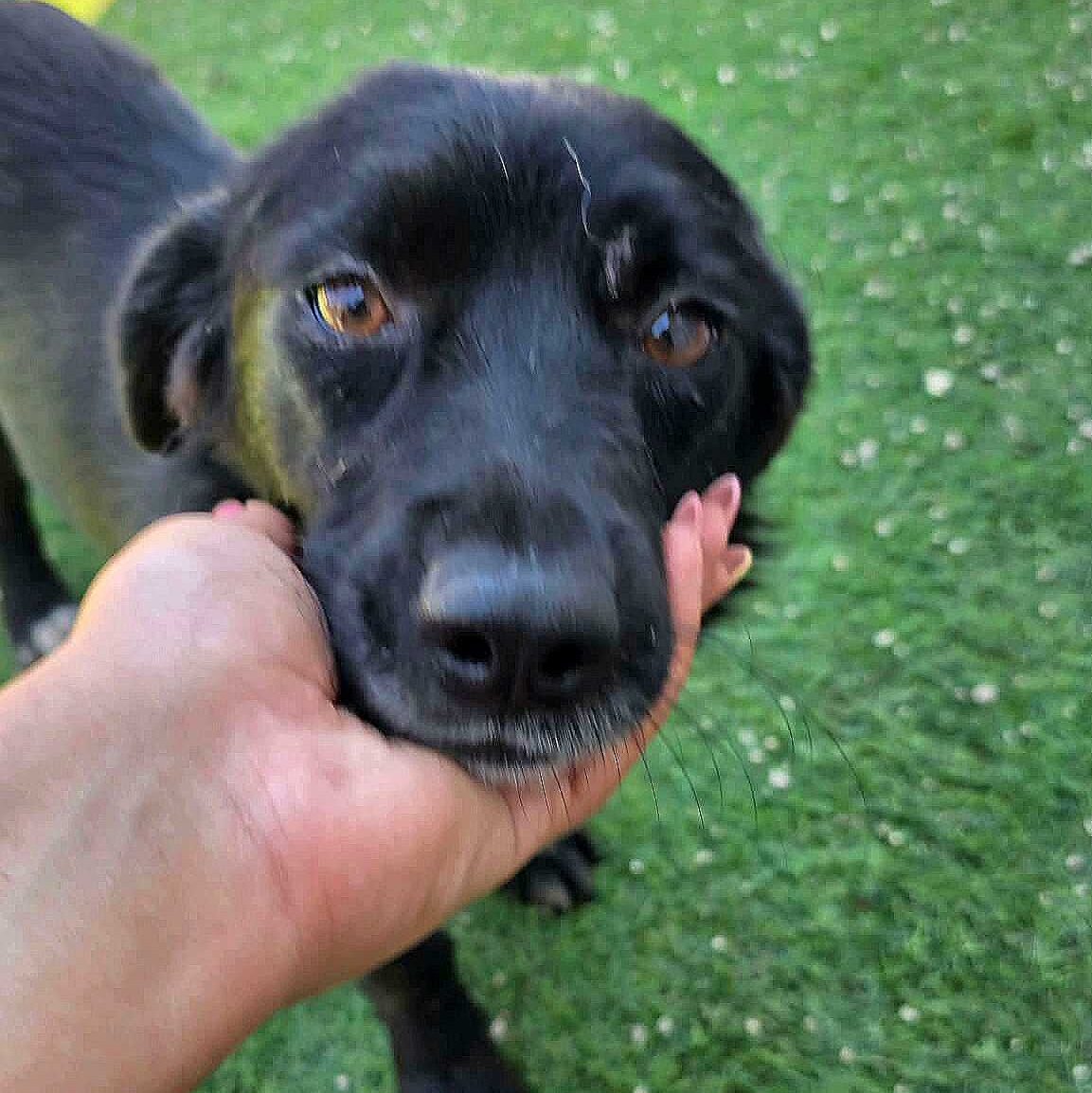 Tina