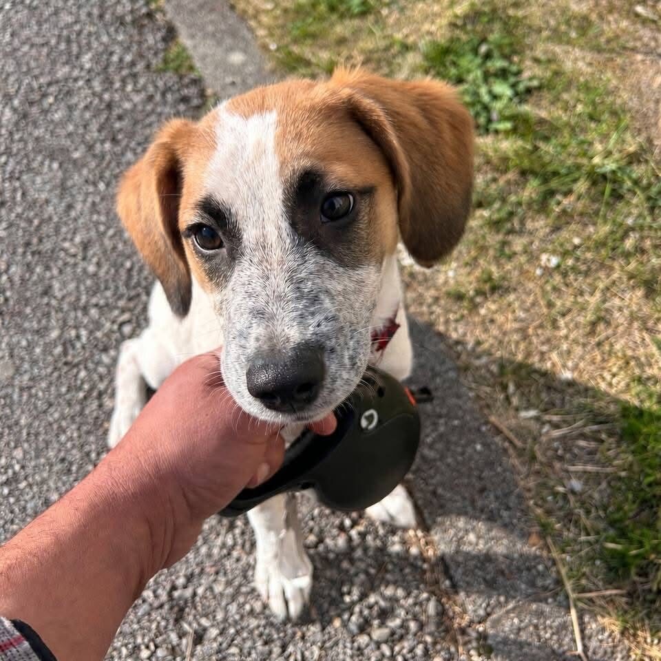 Ellie