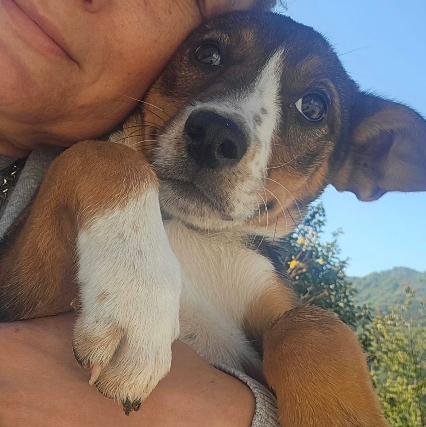Greta